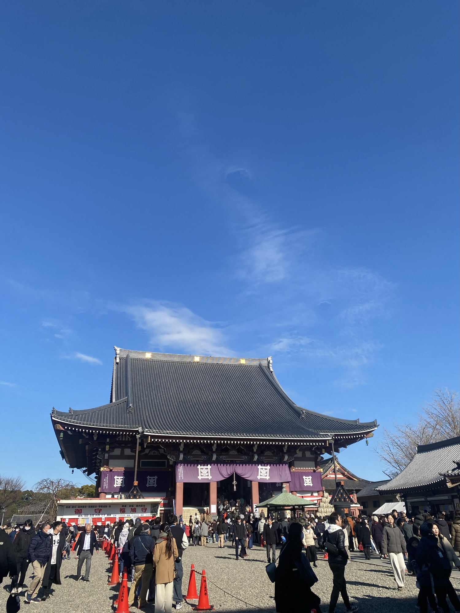 大田区 よもぎ蒸し ドライヘッドスパ オイル シトリン