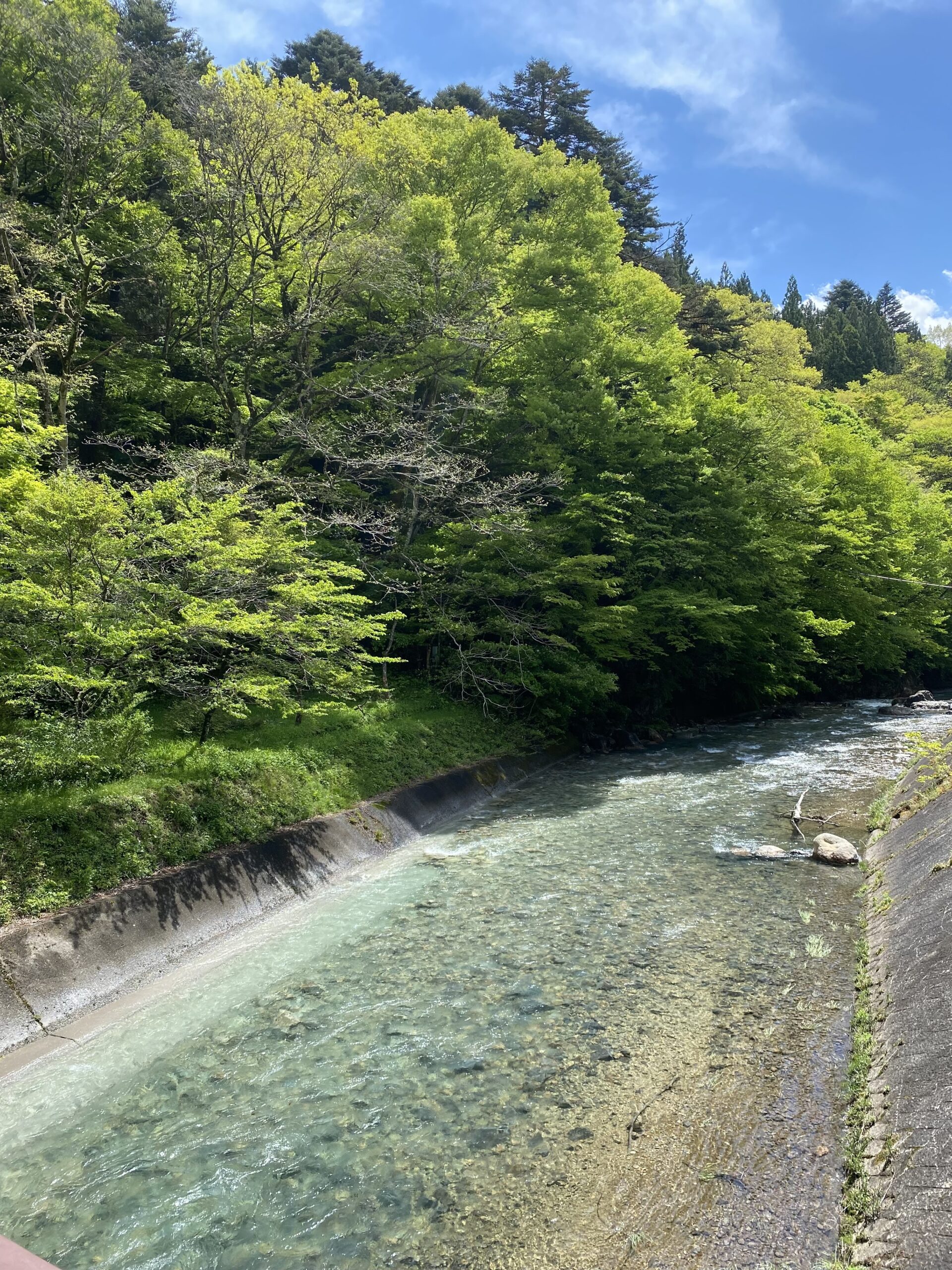 大田区 東雪谷 シトリン 旅行